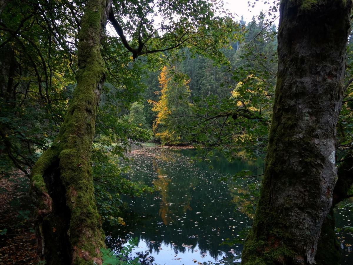 Ferienwohnung Am Berggrabenweg Ильменау Экстерьер фото